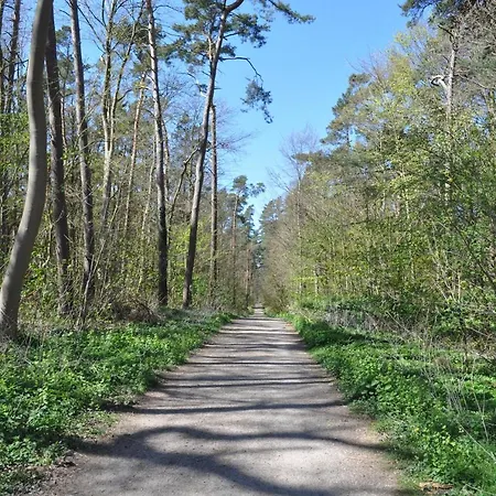 Ostseetraum Ostseebad Kühlungsborn Eksteriør billede